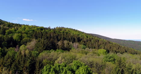 bosque desde arriba vista aérea del bosque