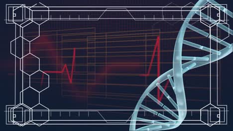 DNA-rotating-with-heartbeat-line