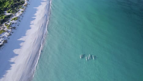 Eine-Luftaufnahme-Eines-Stand-Up-Paddle-Boarders,-Der-Die-Küste-Entlang-Paddelt