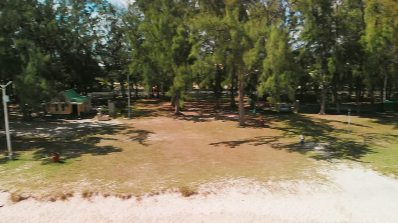 flic en flac playa bordeada de árboles con gente y participando en diversas actividades