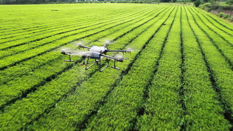 drone dji agras t30 flight over a green field spraying water or herbicides following behind shot