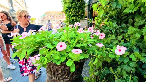 tourists walk past flowers on naples street