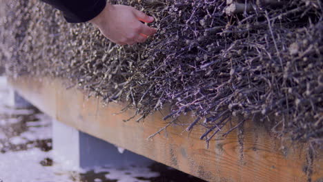 caucasian hand reaches out to touch brushwood of graduation tower