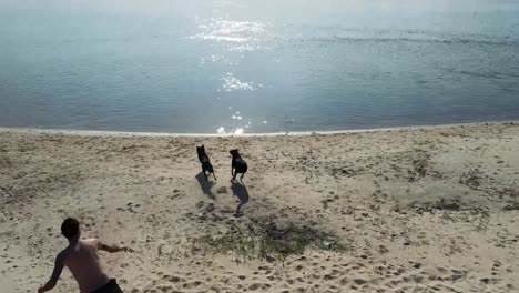 drone fly above parana river, young man plays fetching with dogs, sunset skyline reflected on water, bonding landscape