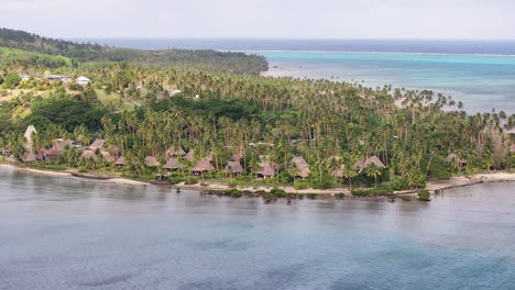 aerial view of fiji resort and palm trees, tropical holiday destination. vanua levu island