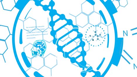 Animation-of-scientific-data-processing-over-dna-strand-spinning