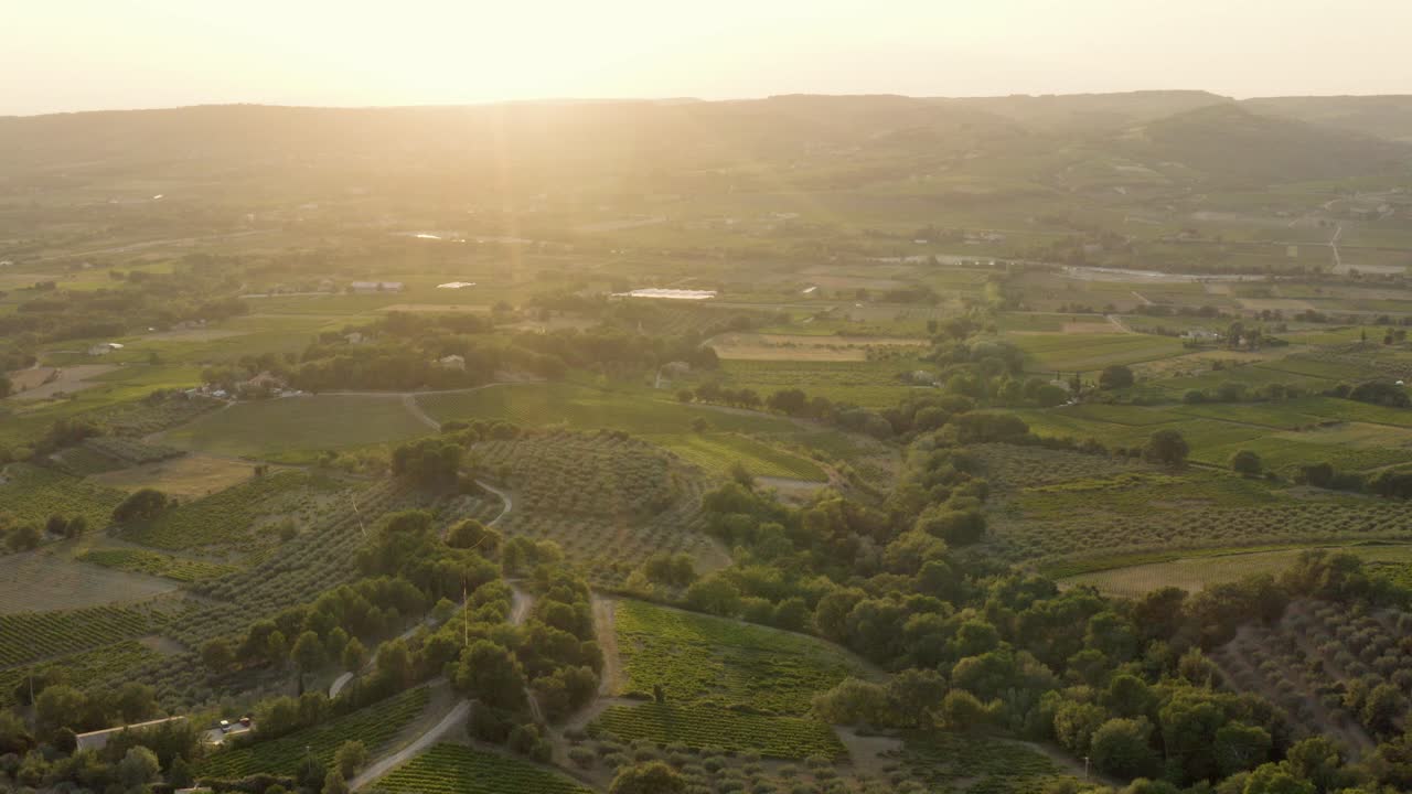 Sunset Aerial of Provence Area with Wine and Olive Trees in France