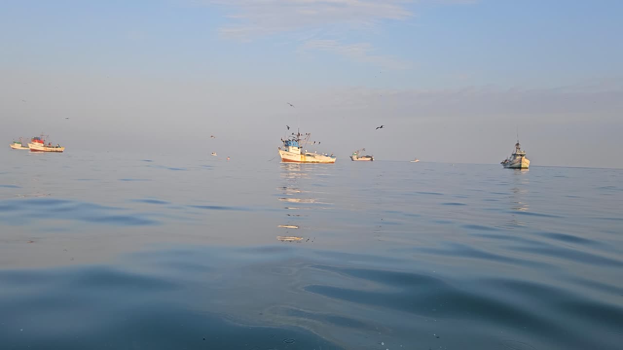 오렌지색 유리색 물 을 가진 조용 한 일찍 그리고 따뜻 한 해가 뜨는 동안 날아다니는 새 들 에 둘러싸인 단순 한 어부 배