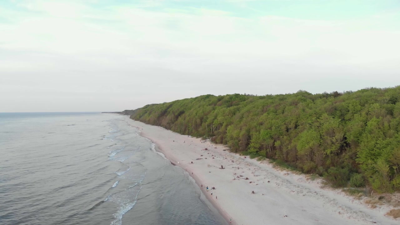 Oblique aerial view of the Poddabie Baltic shoreline, with low waves washing a pale sandy beach beside dense green coastal forest and tiny distant visitors.