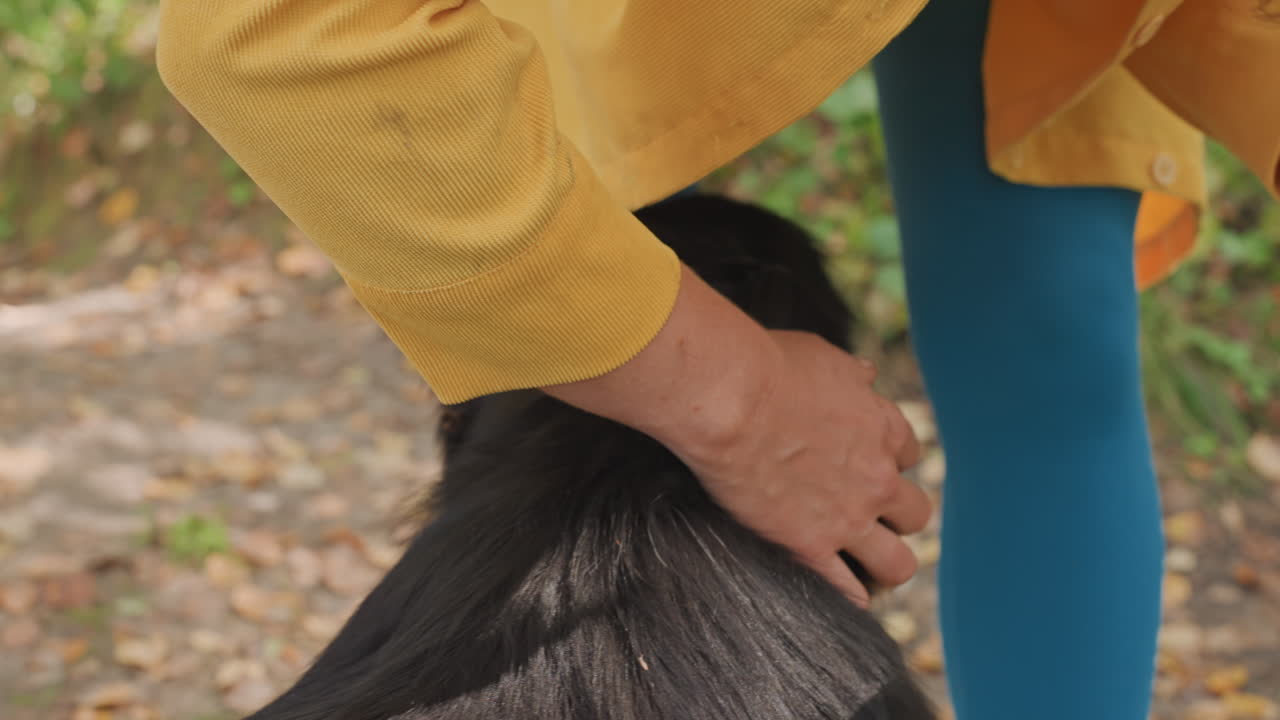 Close-up de mulher acariciando cão. Cena serena de mulher cuidando carinhosamente de seu cão ao ar livre, de jeans. Momento tranquilo onde a mulher acaricia suavemente seu cão em ambiente externo, vestida casualmente.