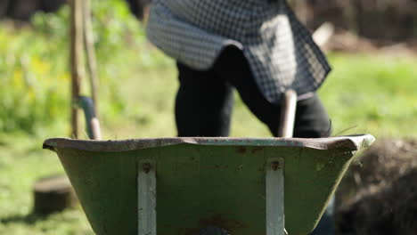 farmer gathering manure using pitchfork and placing it on a wheelbarrow