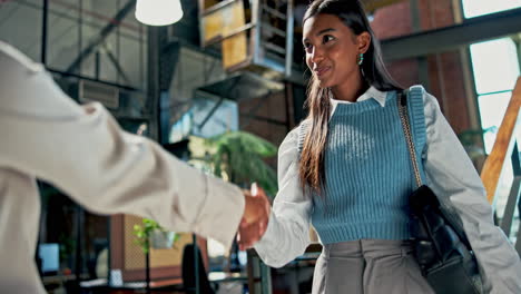 business handshake between two professionals