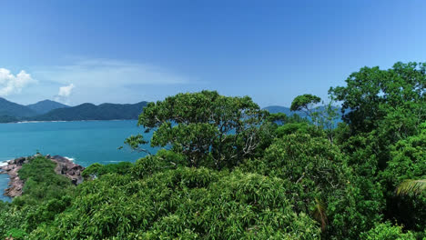 Aerial-flying-over-lush-vegetation-revealing-amazing-desert-beach-and-rocky-coast