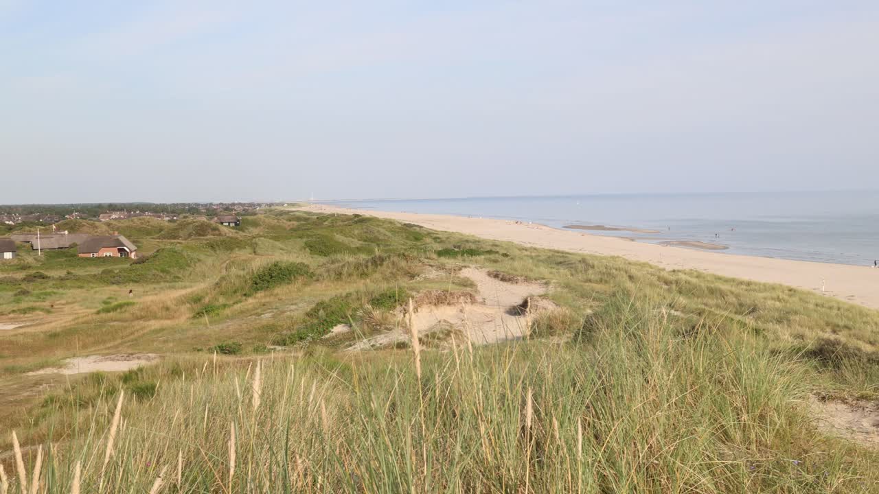 Sand dunes and tall grass on the beach in Denmark