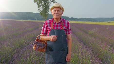 Hombre-Mayor-Abuelo-Agricultor-Recogiendo-Flores-De-Lavanda-En-Una-Canasta-En-El-Jardín-De-Hierbas,-Mostrando-Los-Pulgares-Hacia-Arriba