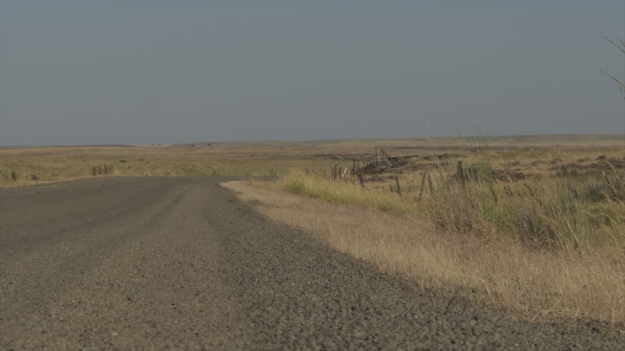 dry desert rocky grassland landscape. chip seal road with grass moving in the wind