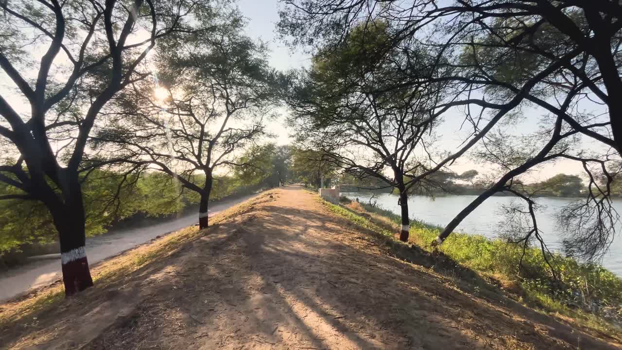 wide walking shot of trees in thol bird sanctuary of ahmedabad gujarat india
