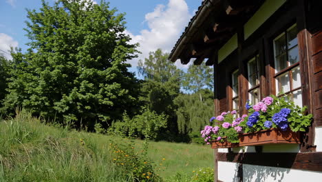charming wooden house with flowers in a scenic countryside