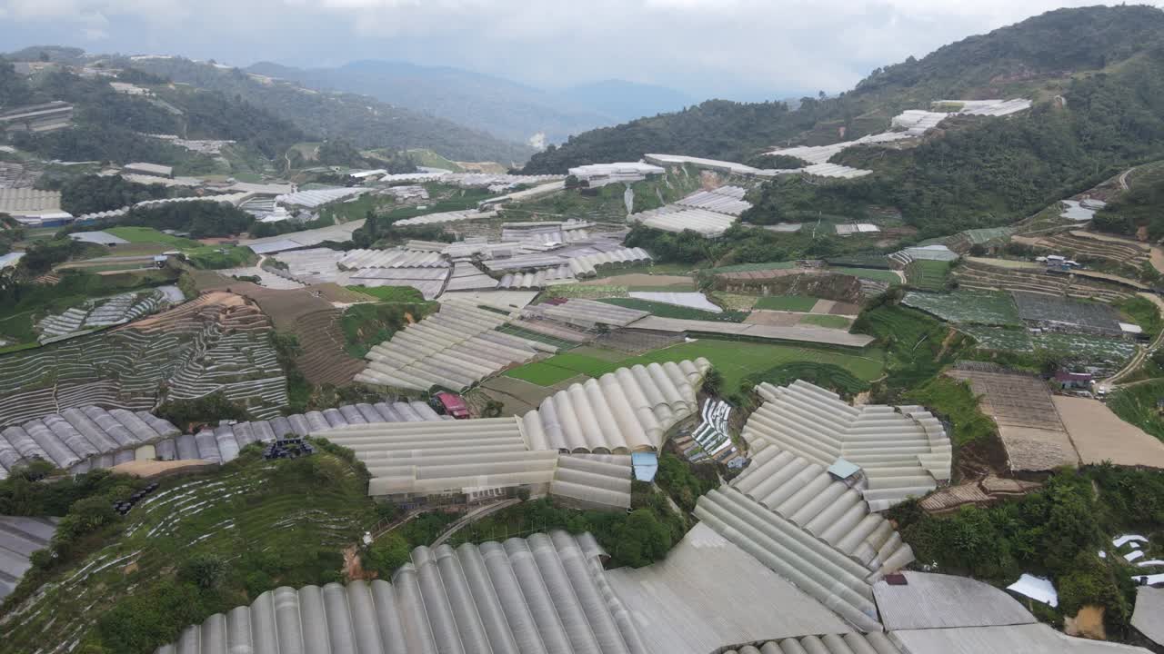 말레이시아의 카메론 하이랜드 지역 내의 브린창 지역의 일반 풍경