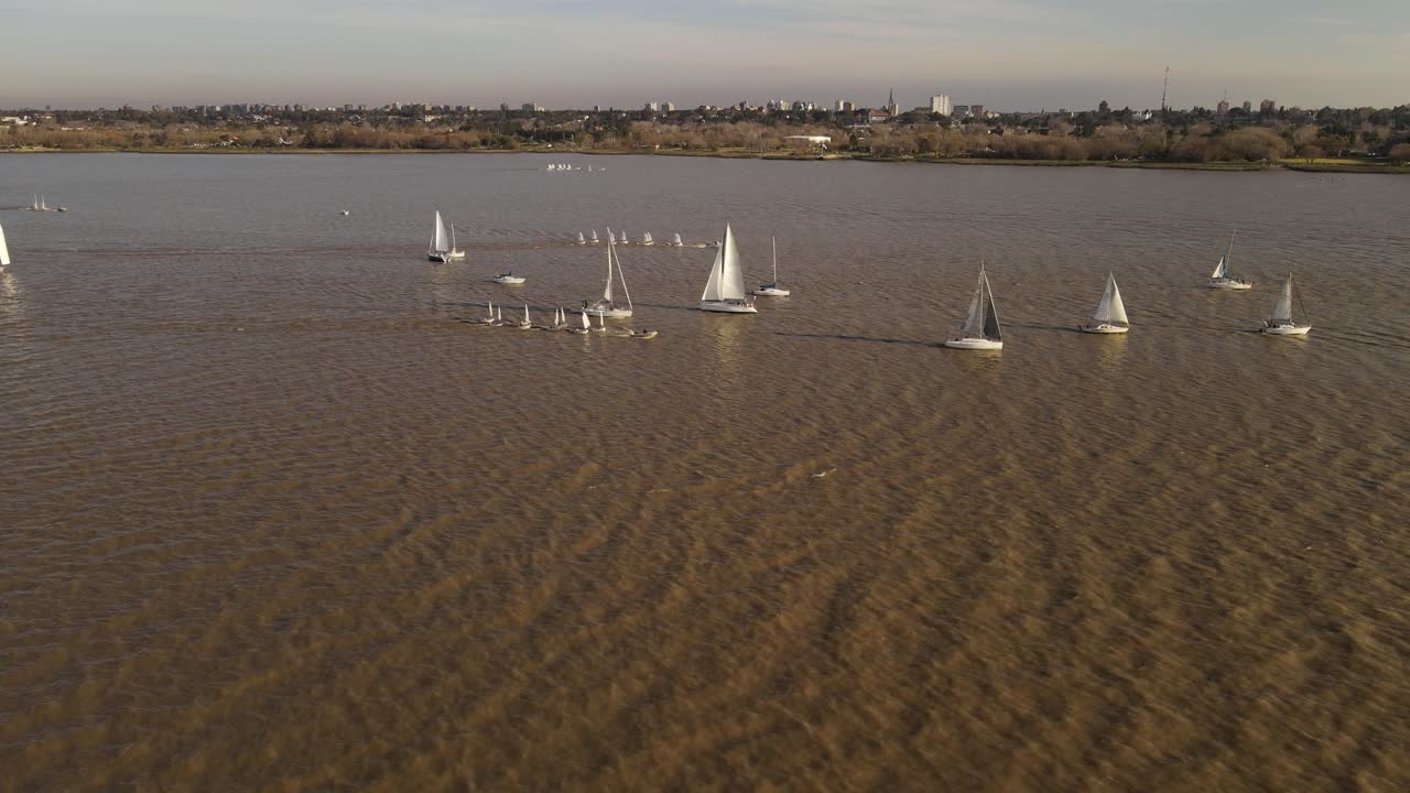 vista de varios veleros blancos en un ancho río navegando