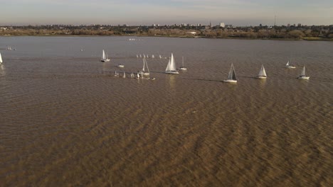 Vista-De-Varios-Veleros-Blancos-En-Un-Ancho-Río-Navegando