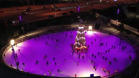 night view of an ice skating rink with a decorated christmas tree