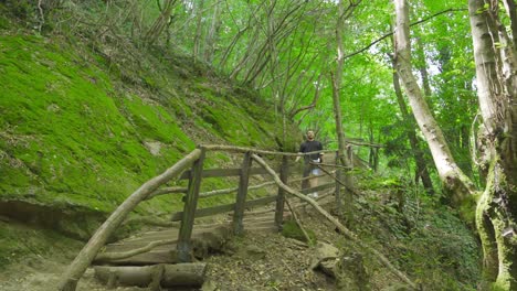 adventurous young man walking in the forest.