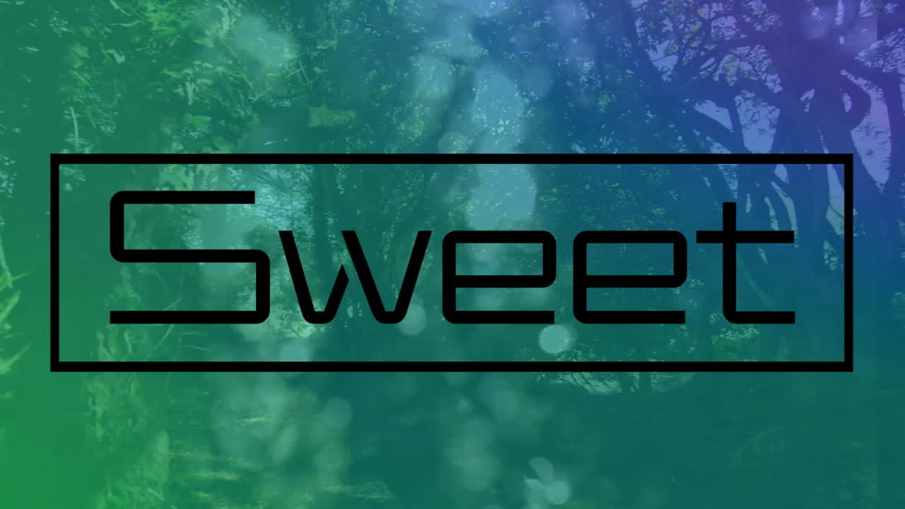 animación de texto dulce sobre senderos de luz y árboles