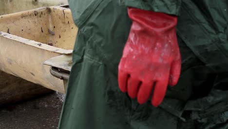 fisherman sorting fish that's just been caught in the sea with people stock footage stock video