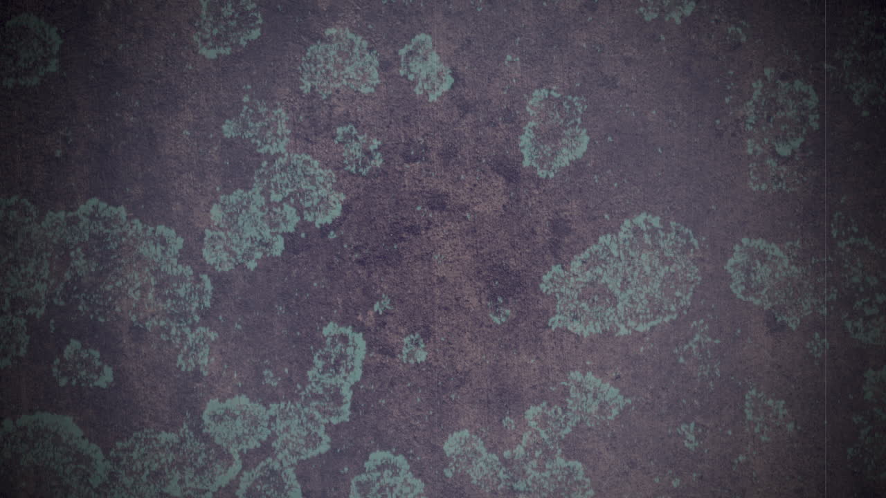 superficie metálica oxidada con musgo verde un primer plano con textura