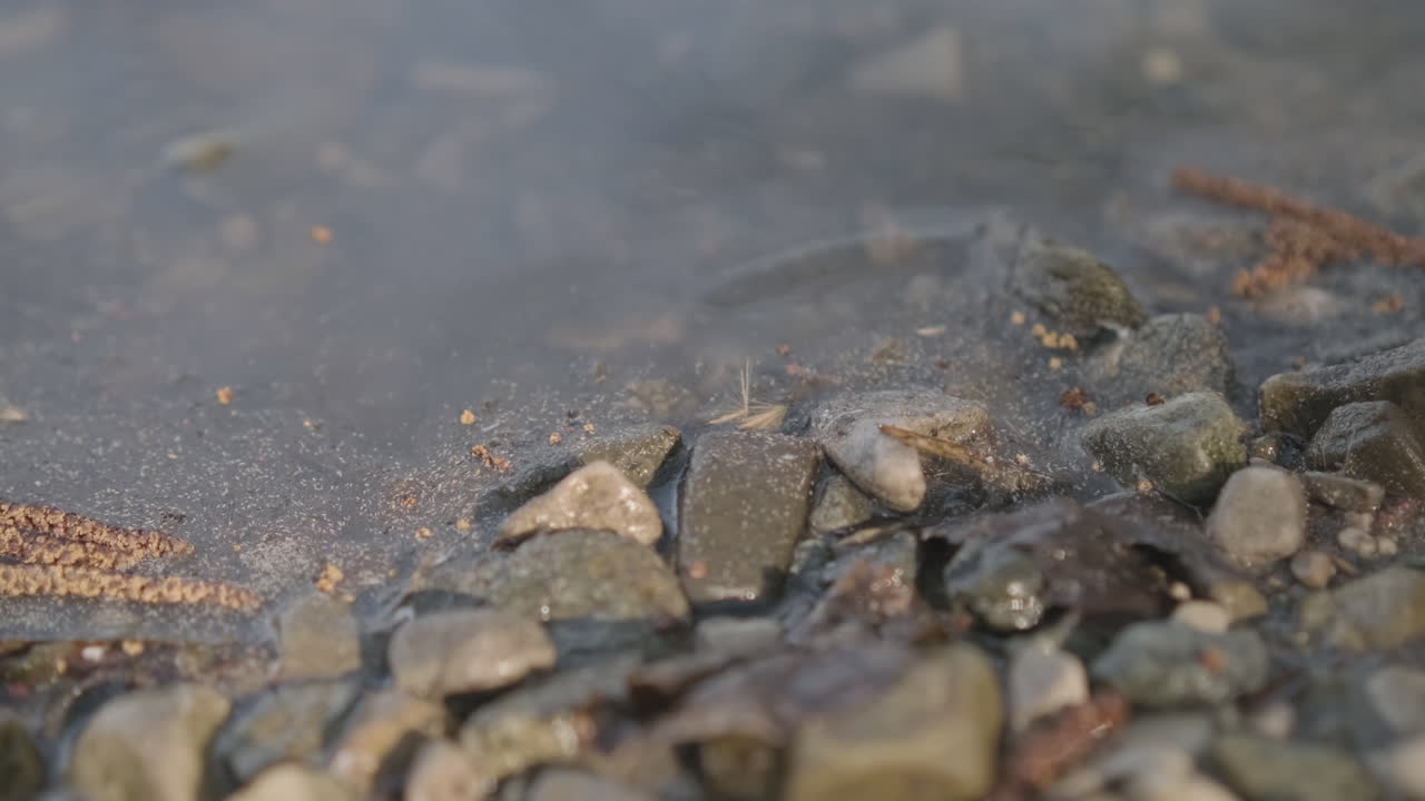 봄 아침에 태양 광선에 의해 조명 호수 돌 - 가까이, 정적 샷