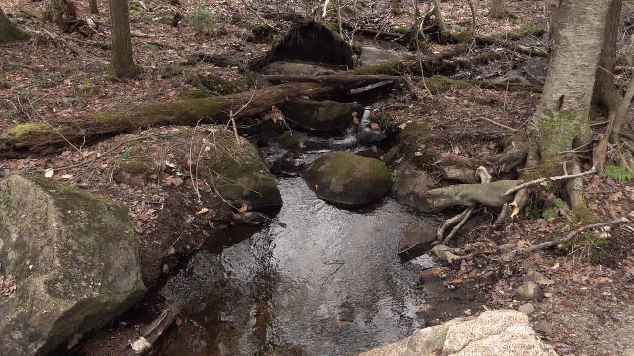 A beautiful stream flowing gently with stunning reflections on the water. All around, we see rocks and tree branches on the ground.