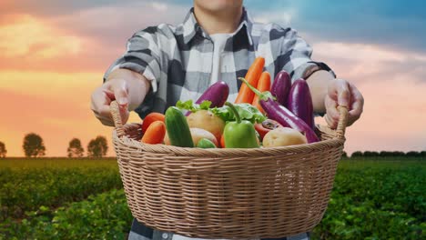 granjero asiático que da una canasta con verduras en el campo