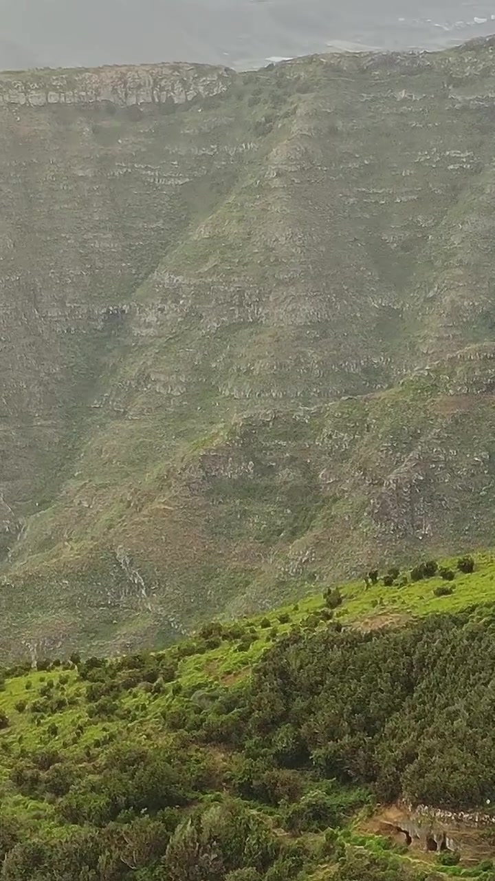Esplorando le verdi colline di Tenerife, in Spagna, durante le ore diurne
