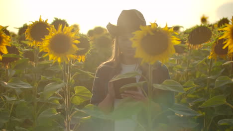 Eine-Junge-Botanikerin-Mit-Strohhut-Und-Kariertem-Hemd-Läuft-An-Einem-Sommertag-über-Ein-Feld-Mit-Vielen-Großen-Sonnenblumen-Und-Schreibt-Deren-Eigenschaften-Für-Einen-Wissenschaftlichen-Artikel-Auf-Ihr-Tablet.