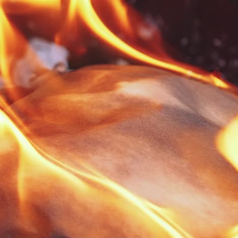 flame when burning the paper in the bonfire. paper in the fire