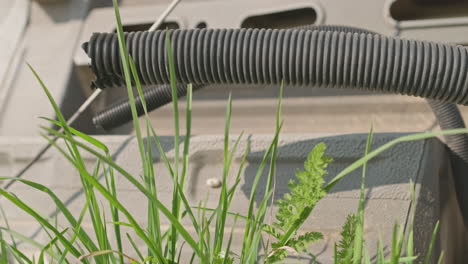 green grass blades and black plastic pipe moving in the wind during a sunny day outdoor - low angle, static shot