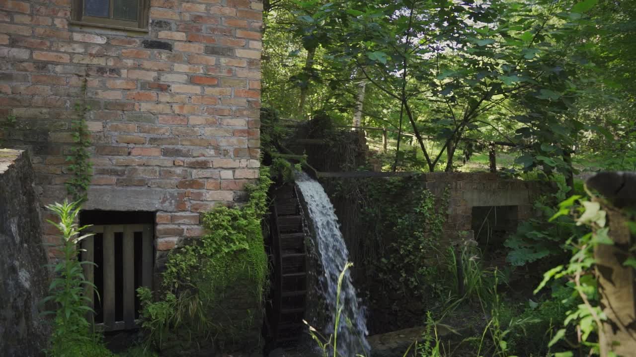 피크닉 공원 미디엄 샷의 물레방아