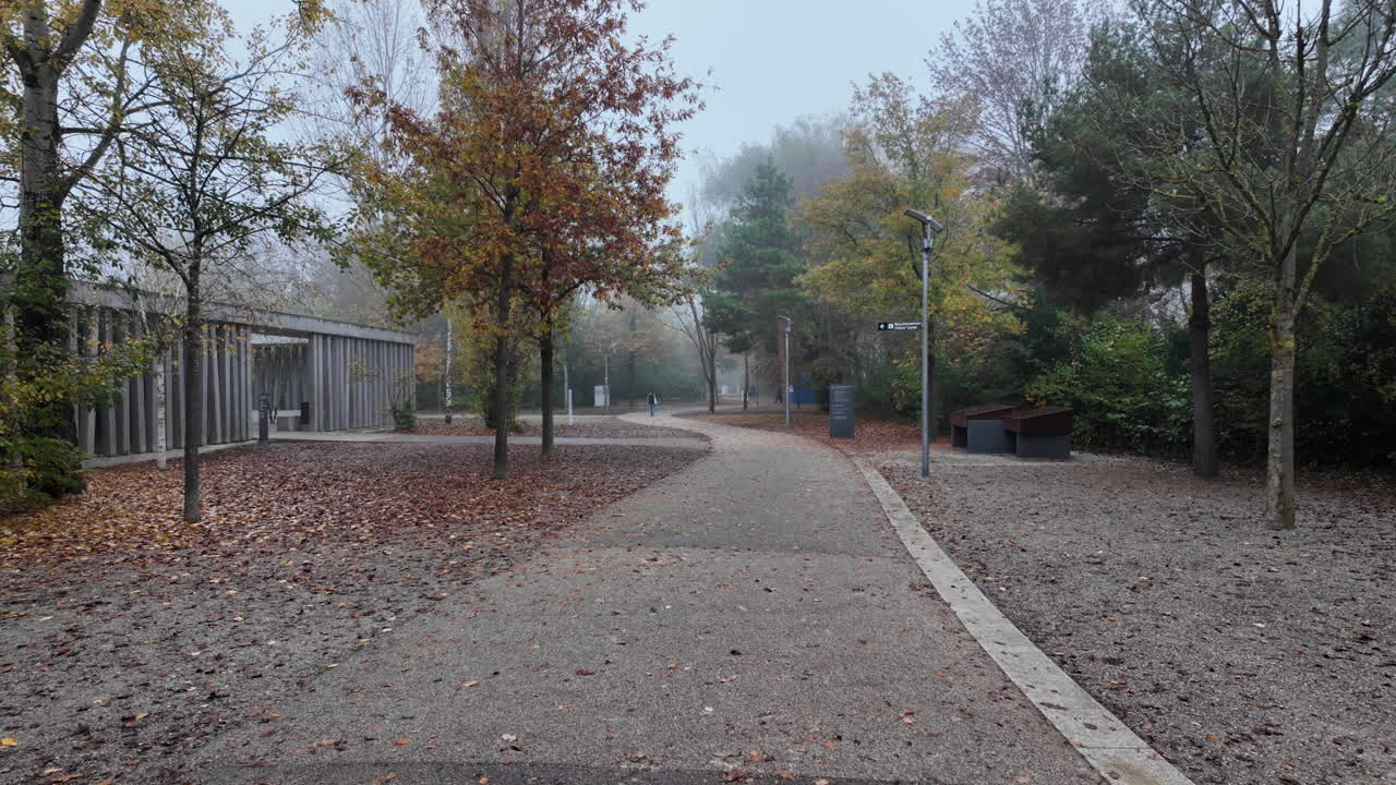 A peaceful gravel pathway winds through a misty autumn park lined with sparse trees and modern lampposts, creating a calm and contemplative outdoor atmosphere.