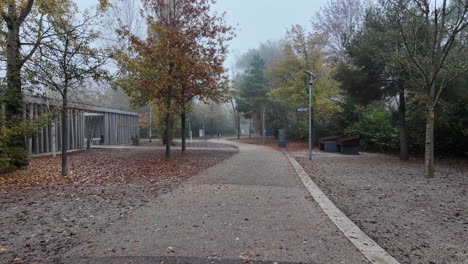a peaceful gravel pathway winds through a misty autumn park lined with sparse trees and modern lampposts, creating a calm and contemplative outdoor atmosphere.