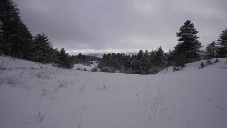 Frozen-land-covered-by-white-snow-on-high-mountains-with-forest-at-a-winter-day