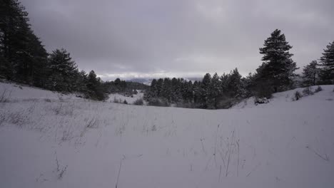 tierra congelada cubierta de nieve blanca en altas montañas con bosque en un día de invierno