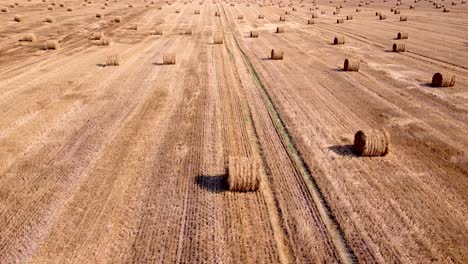 aerial shot passing a harvested field with straw bales. drone view.