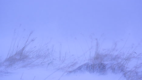 woman appears in windy dangerous snowstorm, stable medium shot