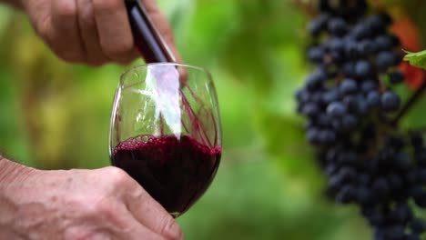 Vertiendo-Vino-Tinto-De-Un-Ladrón-De-Vino-De-Cristal-En-Un-Vaso-De-Cristal-Mientras-Pequeñas-Moscas-Vuelan-A-Su-Alrededor,-A-Cámara-Lenta