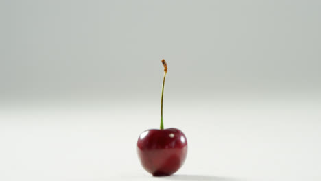 isolated red cherry placed on white background 4k 4k