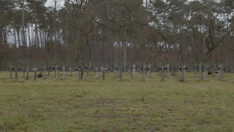 pan over distant gravestones at abandoned graveyard