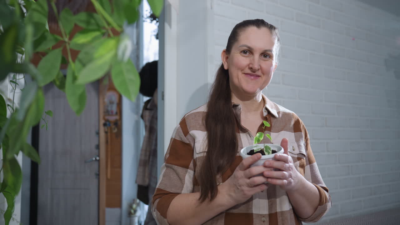 Green thumbed caretaker holding plastic planter with variegated seedling, gently swaying body in motion while admiring new growth against indoor backdrop adorned with hanging pots and leafy greens