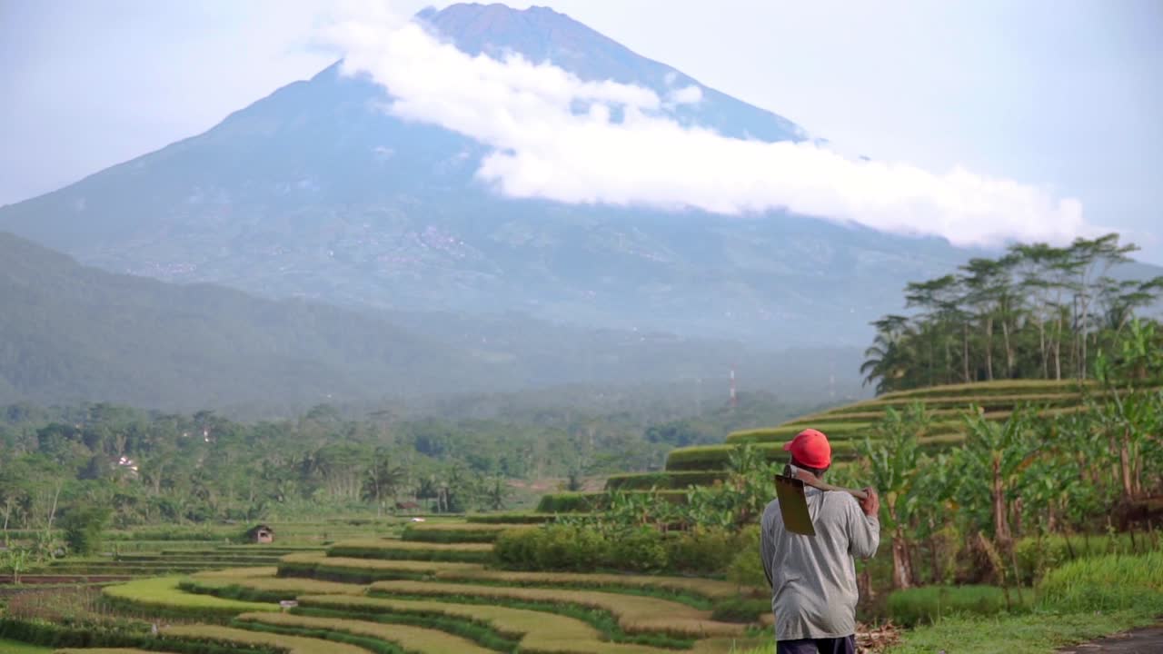 Slow motion shot of farmer walking to Rice Field with beautiful scenic view of mountain in Indonesia