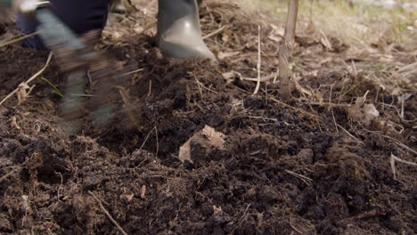 Close-up-view-of-the-hands-of-an-activist-plowing-the-land-around-a-tree-in-the-forest